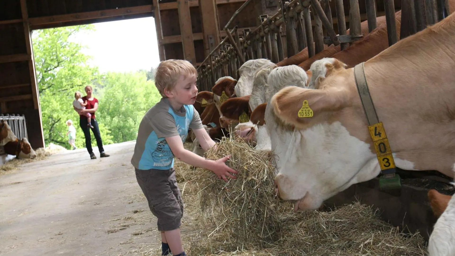 Farm stay Schusterhof Urlaub Auf Dem Bauernhof Villa Bernau am Chiemsee Germany